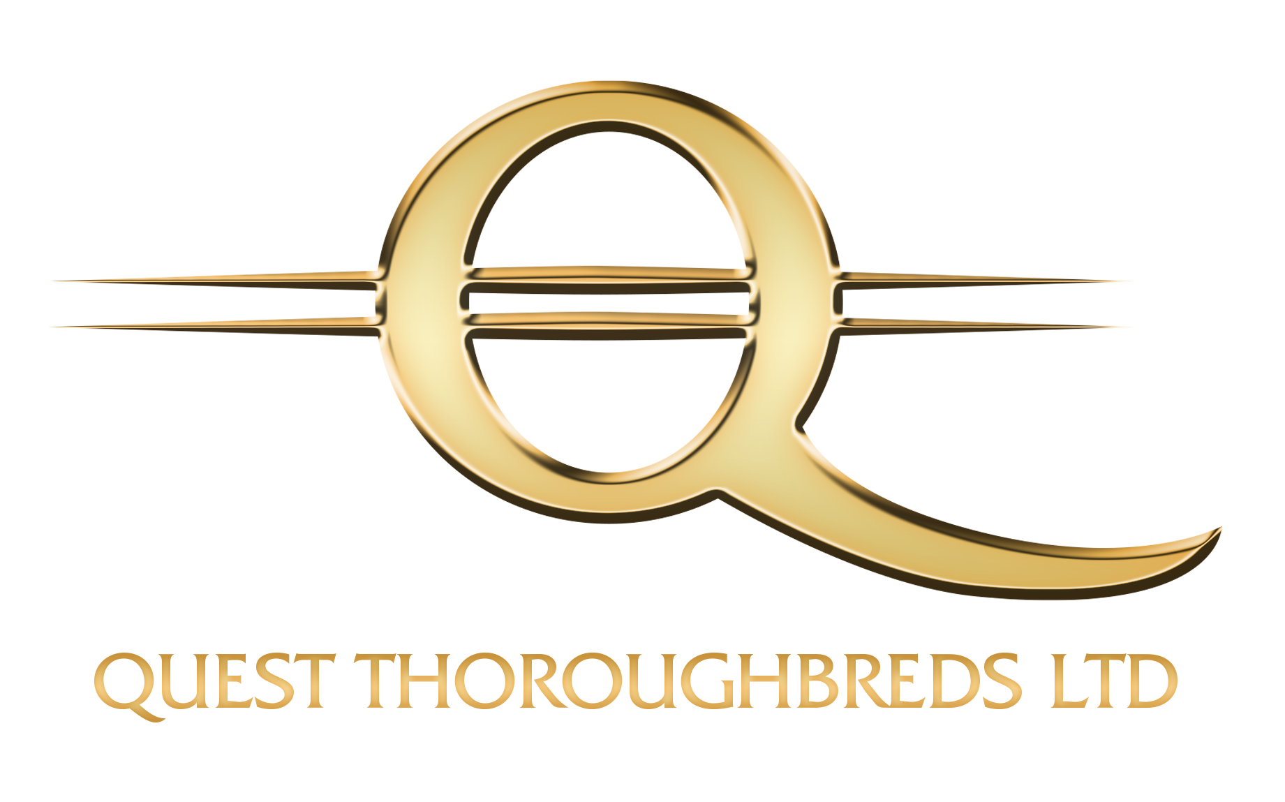 Quest Thoroughbreds